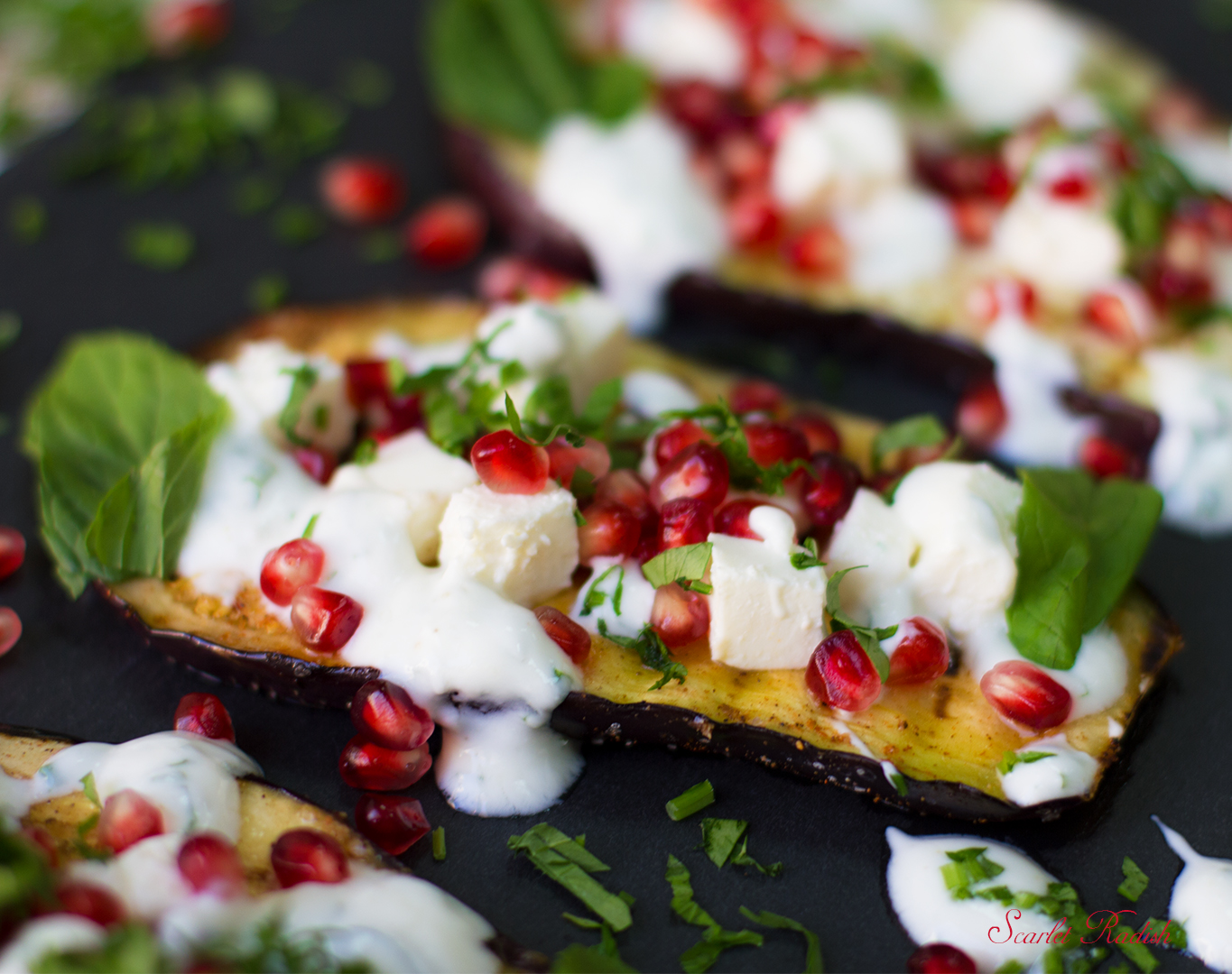 Grilled Eggplant with Mediterranean Yoghurt Sauce